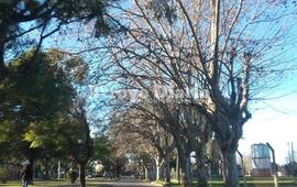Imagen de El fr&iacute;o da tregua y se espera un fin de semana agradable