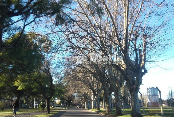 Imagen de El frío da tregua y se espera un fin de semana agradable