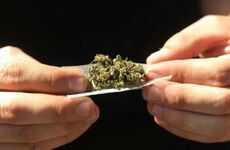 Imagen de En siete a&ntilde;os, el consumo de drogas entre j&oacute;venes es de casi el triple