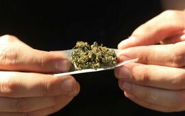 Imagen de En siete a&ntilde;os, el consumo de drogas entre j&oacute;venes es de casi el triple