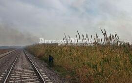 En el lugar. Vergara junto a personal a su cargo recorrieron la zona e intentaron quemar parte del alto ca&ntilde;averal
