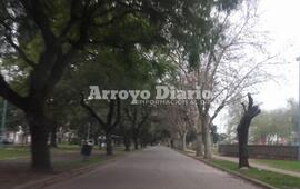 Gris todo el día. Así se presenta el domingo en nuestra ciudad.