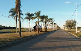 Imagen de Tierra de Sue&ntilde;os: Entre el abandono p&uacute;blico y privado