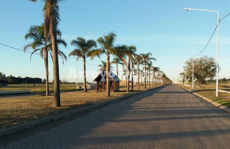 Imagen de Tierra de Sueños: Entre el abandono público y privado