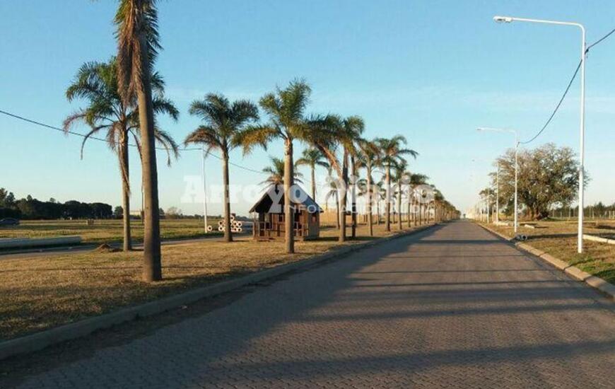 Imagen de Tierra de Sue&ntilde;os: Entre el abandono p&uacute;blico y privado