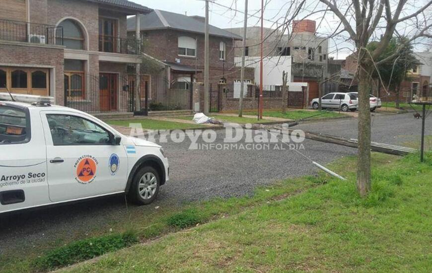 Imagen de Poste de Telecom cayó en la vía pública