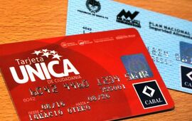 Imagen de Ya está habilitada la Tarjeta Única de Ciudadanía