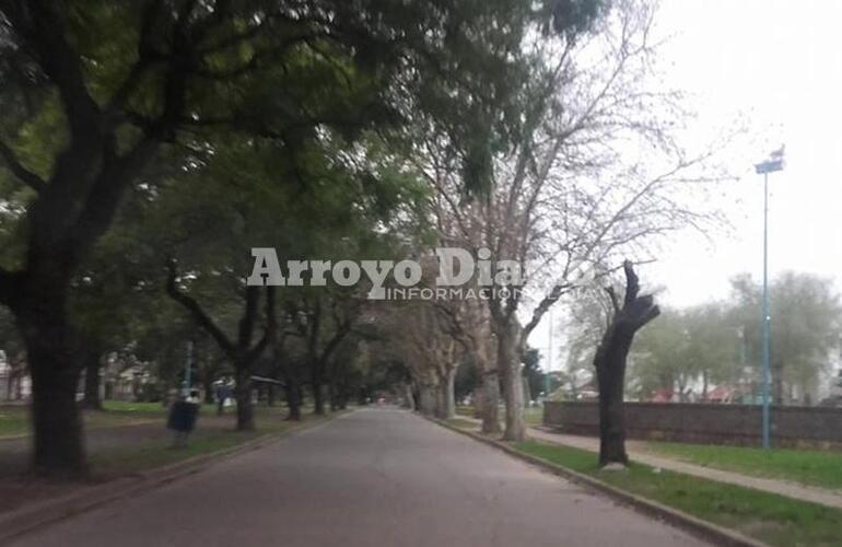 Imagen de Cielo nublado y lluvias para el final de semana