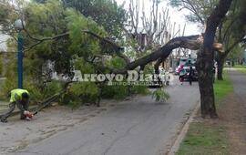 Cr&eacute;dito: Jorge Alberto Cuello