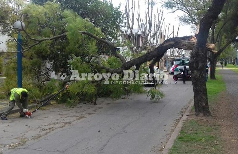 Cr&eacute;dito: Jorge Alberto Cuello