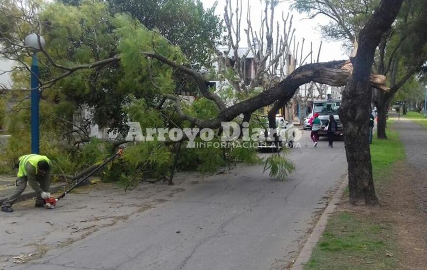 Cr&eacute;dito: Jorge Alberto Cuello