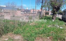 En p&eacute;simo estado. Los entrevistados agregaron que hay momentos en el a&ntilde;o donde los pastizales crecen demasiado y se forma "un matorral"