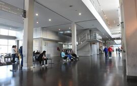 Imagen de Un hombre falleci&oacute; al salir despedido de una camioneta que volc&oacute; en un camino rural