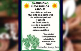 Imagen de Inscribite para apadrinar un &aacute;rbol