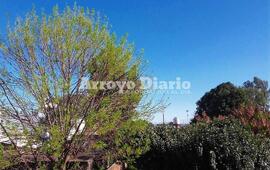 Imagen de Despejado pero solo por algunos d&iacute;as