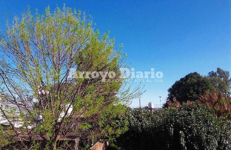 Imagen de Despejado pero solo por algunos d&iacute;as