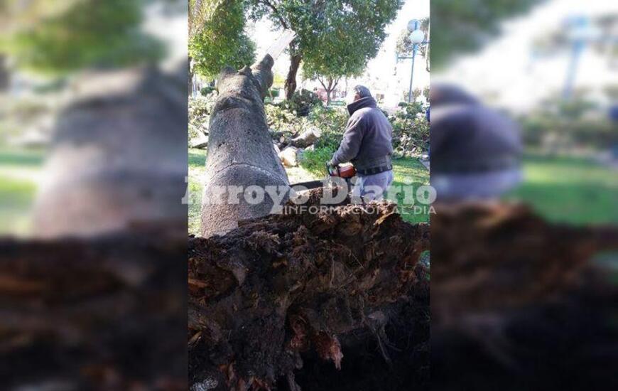 En plena tarea. Los municipales trabajando esta ma&ntilde;ana en Plaza San Mart&iacute;n.