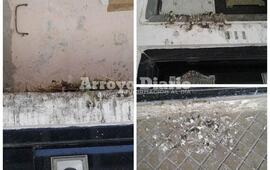 Imagen de Quejas por el estado de algunos sectores del cementerio