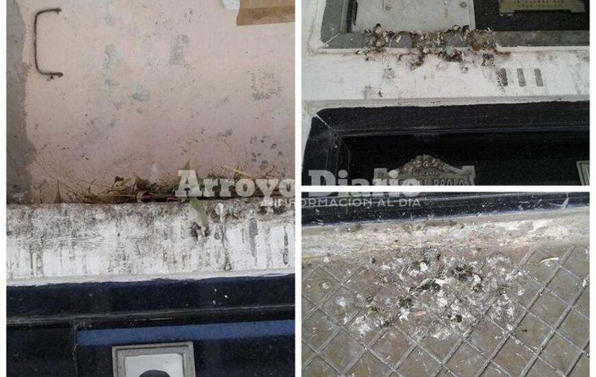 Imagen de Quejas por el estado de algunos sectores del cementerio
