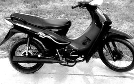 Color negro. La moto sustra&iacute;da es una Guerrero 110 cc de color negro. Foto: Imagen Ilustrativa.