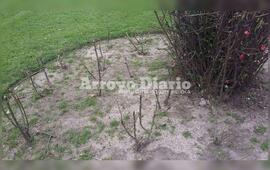 Sin nada. As&iacute; qued&oacute; uno de los sectores donde hab&iacute;an plantado flores para hermosear la plaza.