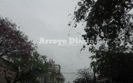 Imagen de Nueva estaci&oacute;n: La primavera arranc&oacute; con lluvias