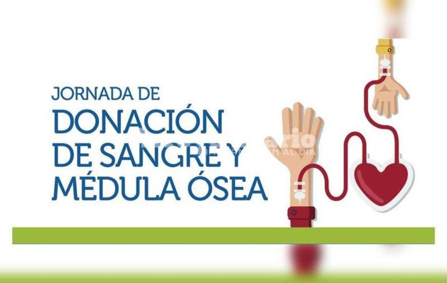 Imagen de La próxima campaña de donación de sangre y médula ósea ya tiene fecha