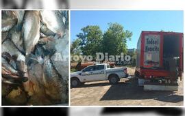 Imagen de Gendarmer&iacute;a decomis&oacute; 7.000 kilos de pescado