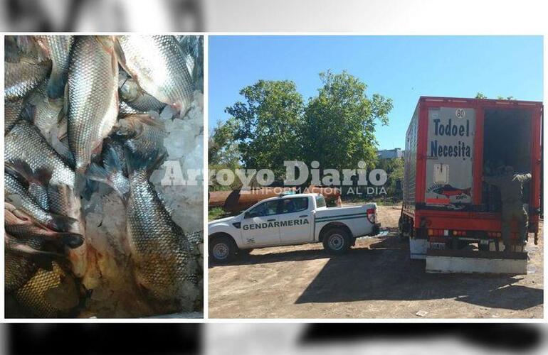 Imagen de Gendarmería decomisó 7.000 kilos de pescado