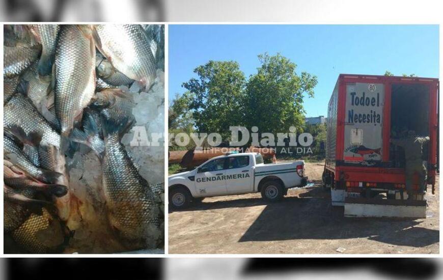 Imagen de Gendarmería decomisó 7.000 kilos de pescado