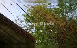 Sobre la imagen. La vecina tomó la foto y decidió enviarla a los medios.
