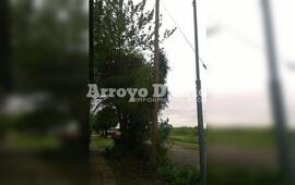 Agradecida. La vecina tom&oacute; la foto y avis&oacute; a nuestro medio que ya le solucionaron el problema.