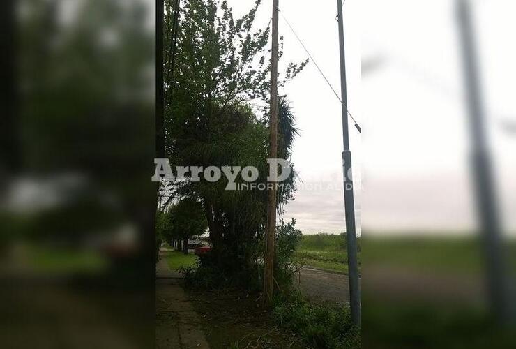 Agradecida. La vecina tomó la foto y avisó a nuestro medio que ya le solucionaron el problema.