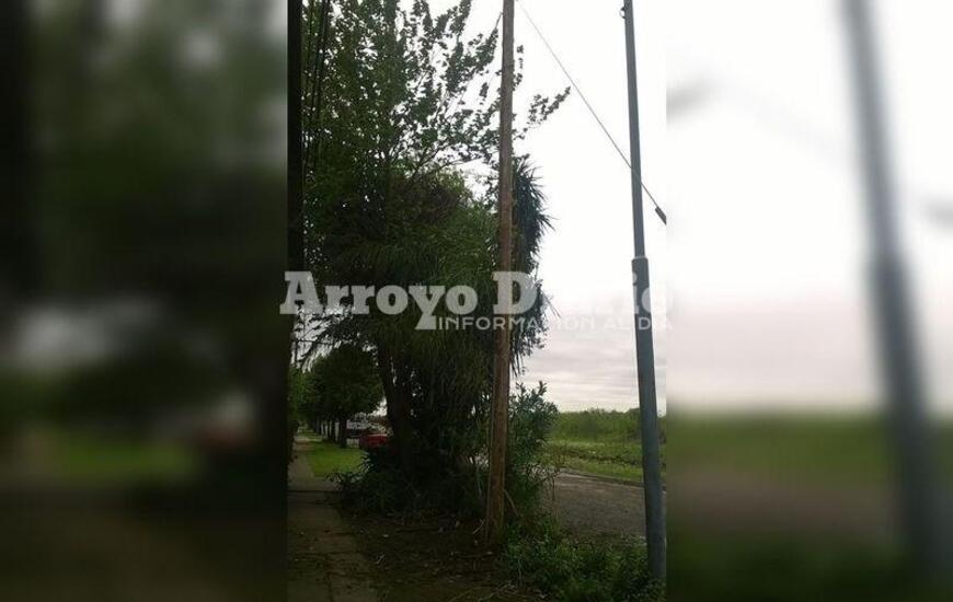 Agradecida. La vecina tomó la foto y avisó a nuestro medio que ya le solucionaron el problema.