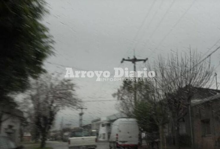 Sobre la nueva estación. La primavera viene gris y lluviosa por ahora.
