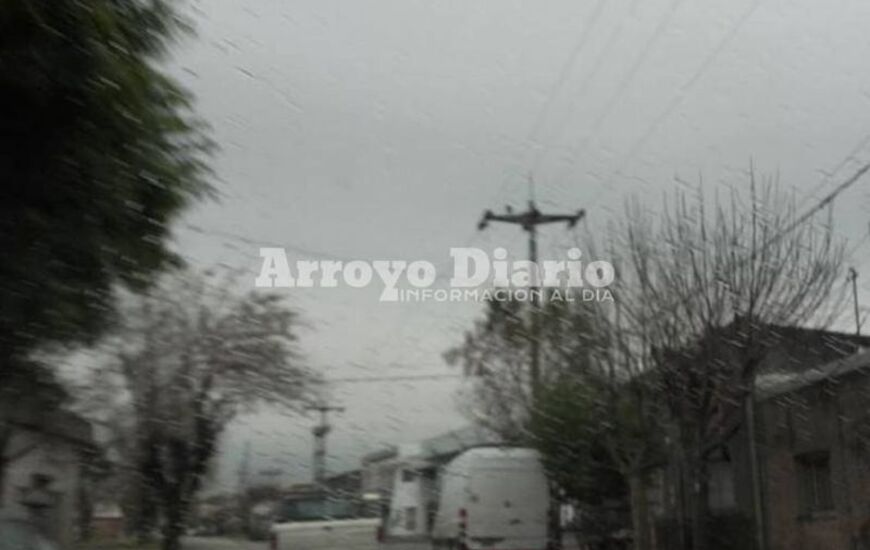 Sobre la nueva estación. La primavera viene gris y lluviosa por ahora.