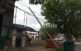 Sobre la imagen. El poste de la empresa de telefon&iacute;a sobre una propiedad privada.