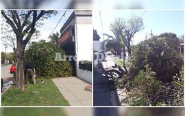 En el lugar. Protecci&oacute;n Civil trabajando sobre calle Rivadavia.