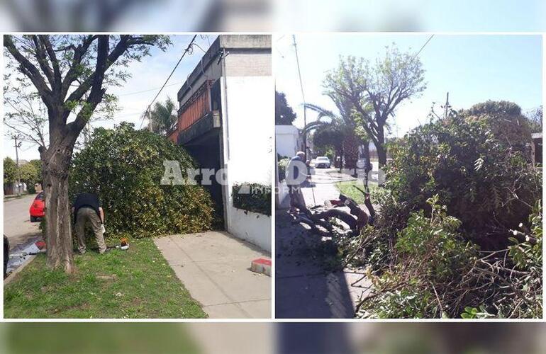 En el lugar. Protección Civil trabajando sobre calle Rivadavia.