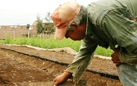 Imagen de El área de Acción Social de la Comuna asesora sobre Monotributo Social Agropecuario