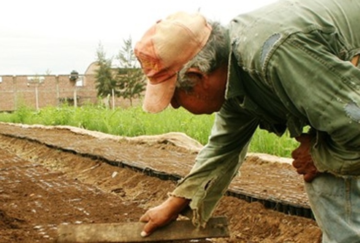 Imagen de El área de Acción Social de la Comuna asesora sobre Monotributo Social Agropecuario