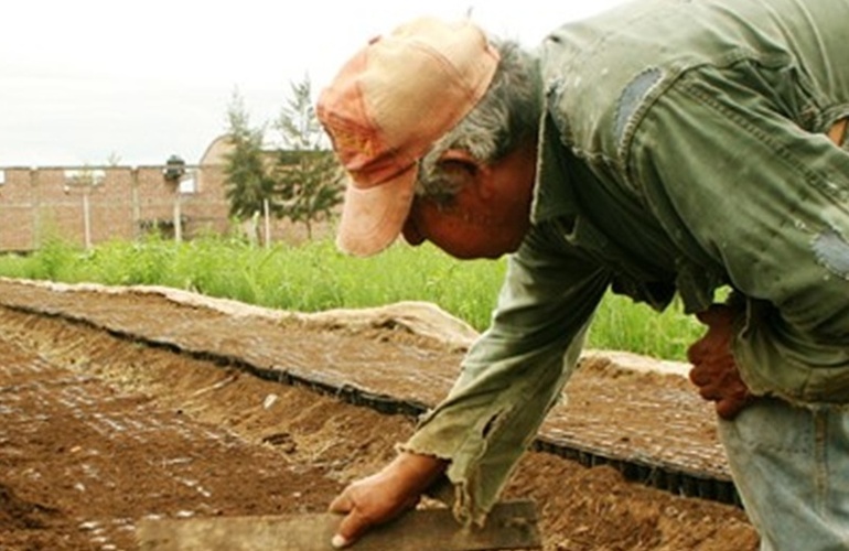 Imagen de El área de Acción Social de la Comuna asesora sobre Monotributo Social Agropecuario
