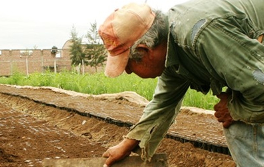 Imagen de El área de Acción Social de la Comuna asesora sobre Monotributo Social Agropecuario