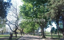 El boulevard Mansueto Maiorano. Uno de los lugares emblemáticos de la ciudad de Arroyo Seco.