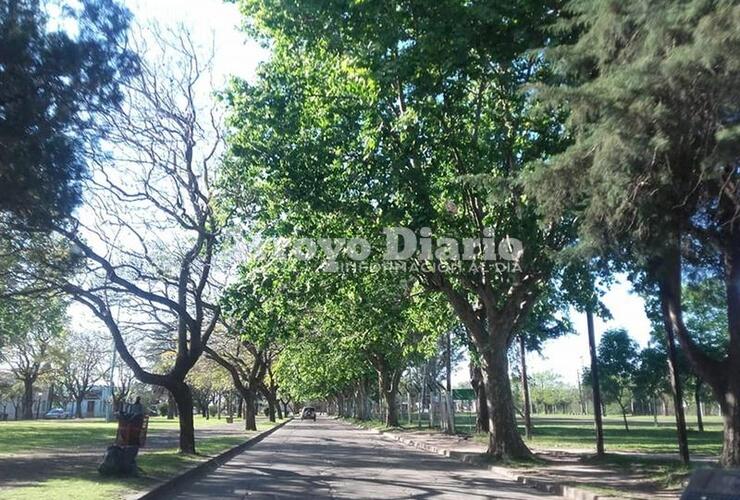 El boulevard Mansueto Maiorano. Uno de los lugares emblemáticos de la ciudad de Arroyo Seco.