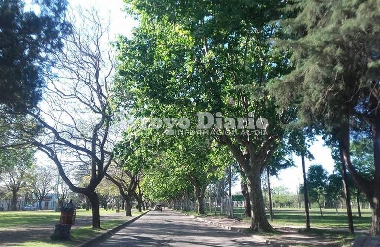 El boulevard Mansueto Maiorano. Uno de los lugares emblemáticos de la ciudad de Arroyo Seco.