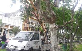 En el lugar. Spina atento a los trabajos de este mediod&iacute;a en la Plaza C&eacute;ntrica. Fotos: Juan Pablo Broin