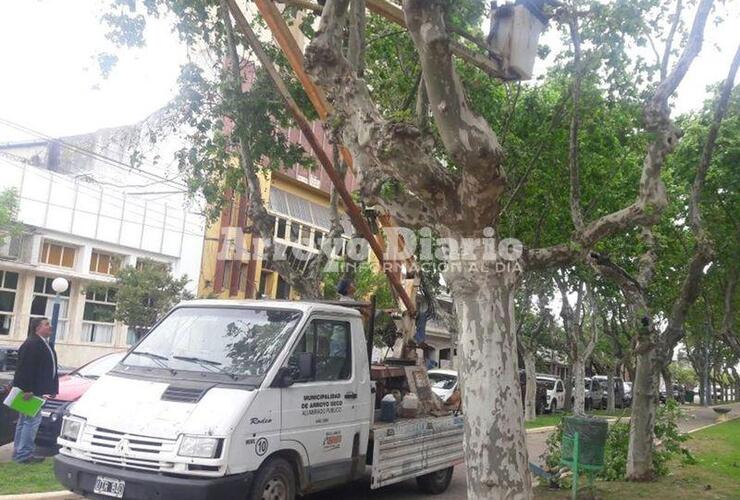 En el lugar. Spina atento a los trabajos de este mediodía en la Plaza Céntrica. Fotos: Juan Pablo Broin