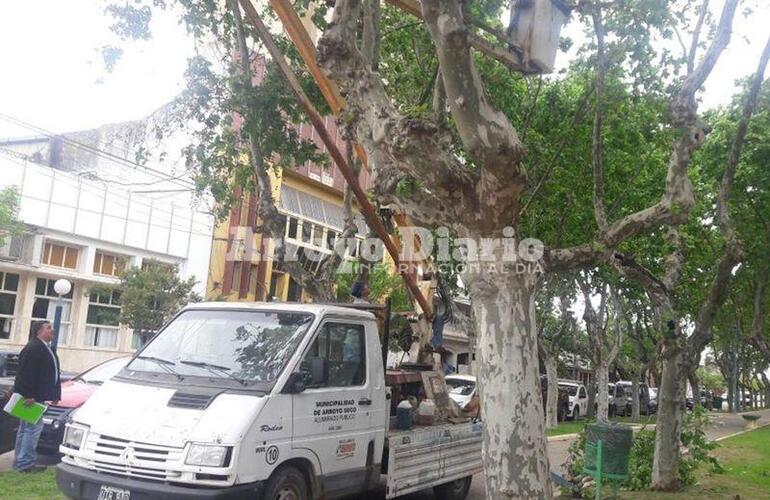 En el lugar. Spina atento a los trabajos de este mediodía en la Plaza Céntrica. Fotos: Juan Pablo Broin