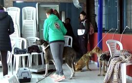 Foto: Canal 2 Arroyo Seco